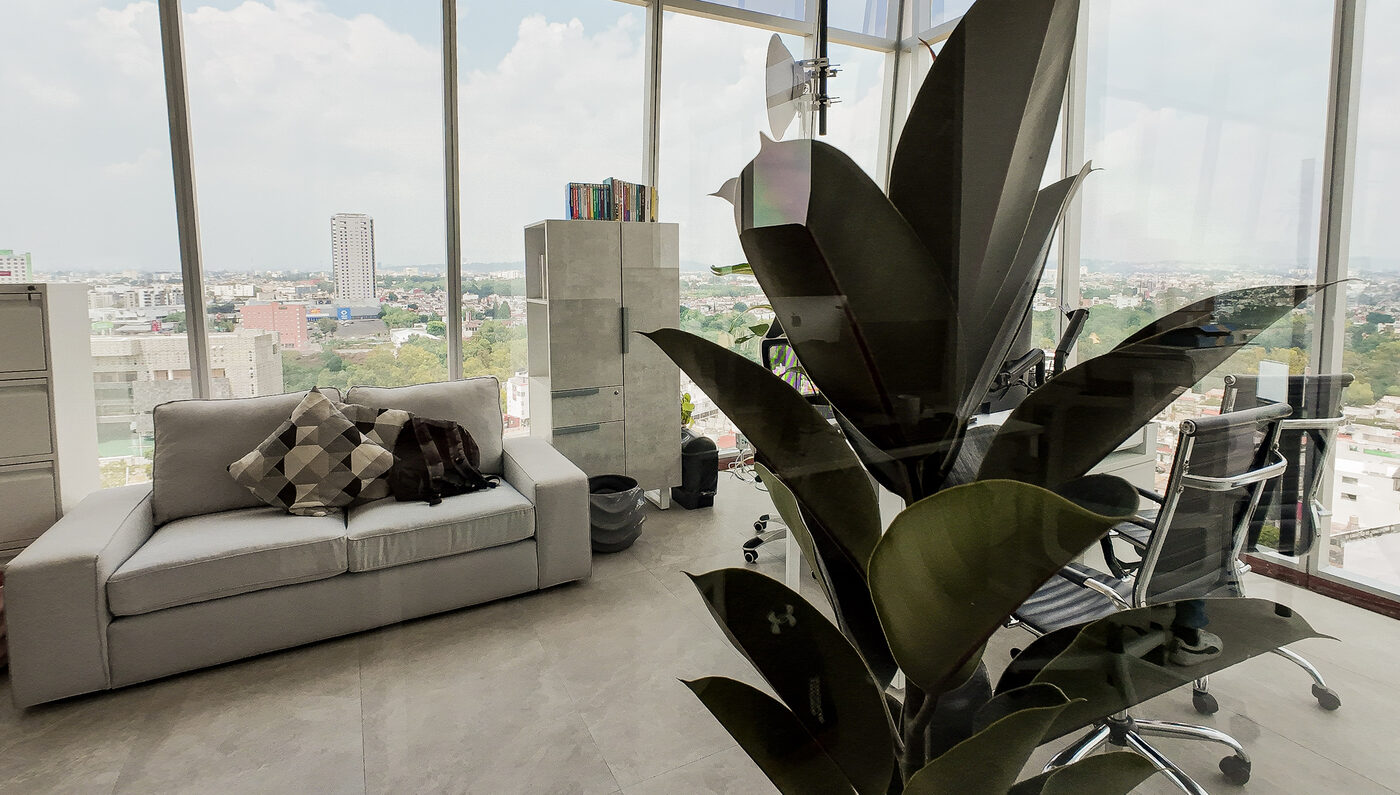 EDIS en Torre Platea · luz, plantas y vista a la ciudad